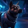 Фото профиля Watch Dog ✝️ ⚜️🐺