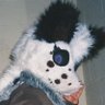 Miko Possum ΘΔ🔞🐾's profile picture