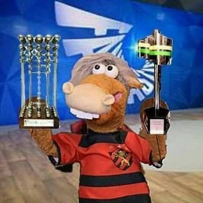 CAVALINHO DO SPORT's profile picture