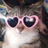 Zugmender's profile picture