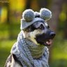 Profilbild von Дядя Степан Степаныча