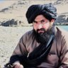 Profilbild von امرالله استشهادی