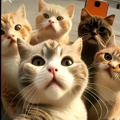 BG_Z_97's profile picture