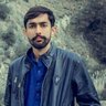 Husnain Sarwar Bhutta profil fotoğrafı