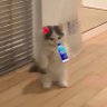 Profilbild von fiji.5mbk