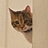 garvy's profile picture
