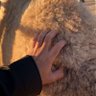 Profilbild von فارس عبدالرحمن