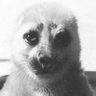 the soulful theymab's profile picture
