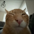 Profilbild von Tarzab
