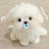 3533826463's profile picture