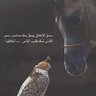 ربى قول لاحلامى كونى 的头像