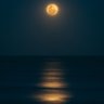Profilbild von Moon Light