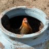 148Flychick's profile picture