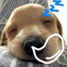 Haduatary's profile picture