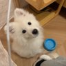 繎。 的头像