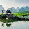 Фото профиля 遠山的呼喚