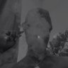 Big_Stepper_OPT profil fotoğrafı
