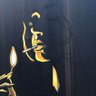 Фото профиля Wilhelmus