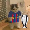 Profilbild von VersatileKings_