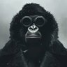 ALL IN's profile picture