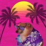 Profilbild von Jaxlandia 🌃 🏝️ 🌲