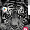 Bev Wilson profil fotoğrafı