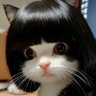 Moro 1's profile picture