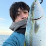 ALIVE@釣り民's profile picture