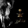 Profilbild von Abdulaziz