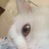 صدام profil fotoğrafı