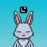 Profilbild von 0xSupertramp🥕