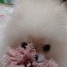 なな's profile picture