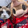 なつお@いわきのアイロンビーザー's profile picture
