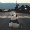 妙先生 profil fotoğrafı