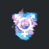 TRANS PARADIS 的头像