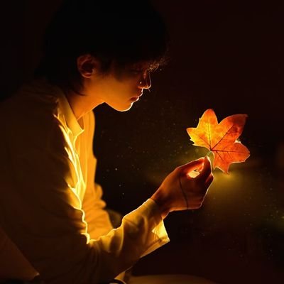 sheyingshi9313's profile picture