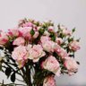 Фото профиля Jenny🌸🍀