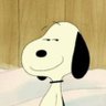 benben's profile picture