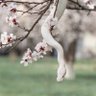 S&K profil fotoğrafı
