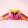 Фото профиля Moff