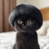 Фото профиля Fiona