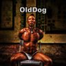 老狗OldDog profil fotoğrafı