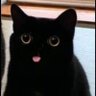 Profilbild von 𝖙𝖆𝖓𝖌𝖔🐈⬛🫧 ㅎㅅㅎ