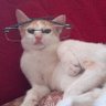 rimit's profile picture