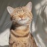 Profilbild von แชร์ไปเรื่อยๆ