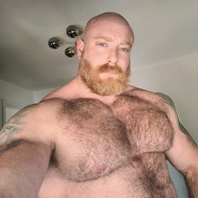 vikingbear_cub's profile picture