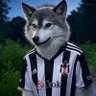 Profilbild von Bugrapolat34