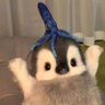 🦋 profil fotoğrafı