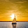 Yellow Sky 的头像
