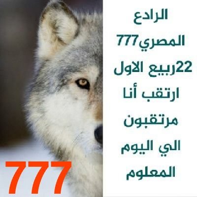 الرادع المصري٧٧٧ (٢٢ ربيع الاول)🇹🇷🇵🇹🇩🇿🇪🇬's profile picture